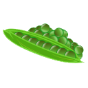 Green Bean