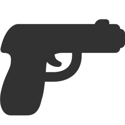 Gun