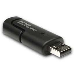 Kingston DataTraveler DT100 G2 Alt