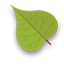 Leaf Green