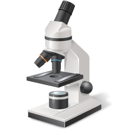 Microscope