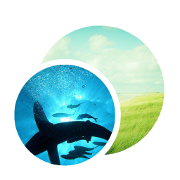 Preview Circle