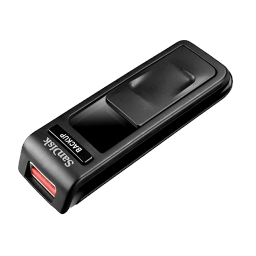 Sandisk Ultra Backup USB
