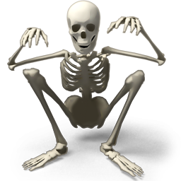 Skeleton