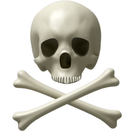 Skull and bones