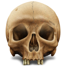 Skull