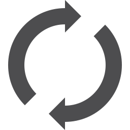 Spin Vector