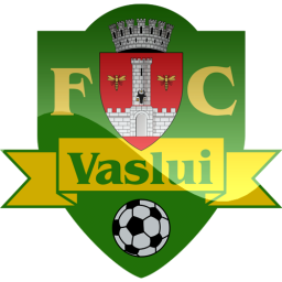 Vaslui Logo
